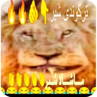 Video sticker 👍 ترکوندی پسر 👏👏😹😹@ALIONEditzzz