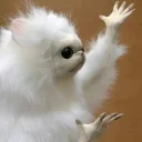 Telegram sticker 😐 ameerpack