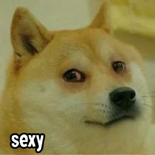 Телеграм стикер 😭 BINHUB @B1G_H