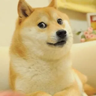 Телеграм стикер 🤭 BINHUB @B1G_H