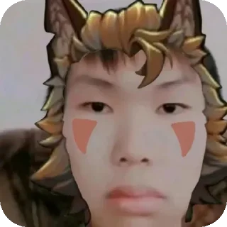 Sticker 🦊 Парень до гроба Автор:@wuzofrenia_000