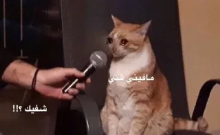 Telegram sticker 🙂 @ma60n