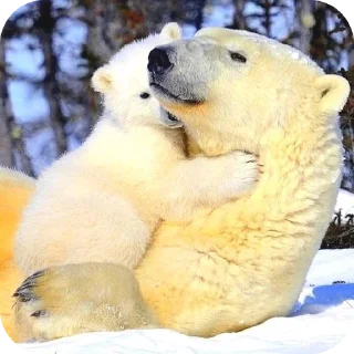 Telegram sticker 🥰 The Polar Stuff