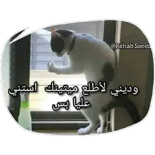 Video sticker 🔪 Ges-2.0