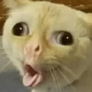 Telegram sticker 🤪 Ges-2.0