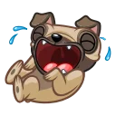 Sticker 😂 Fred the Pug