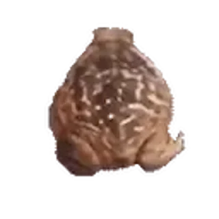 Sticker 🐸 Мемы намбер ту