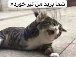 Telegram sticker 🥲 @AniPackBot استیکرساز😍