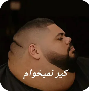 Video sticker 🖼 شوالیه الی‌ و کفتر