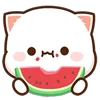 Video sticker 🍉 Peach & Goma @Peac...