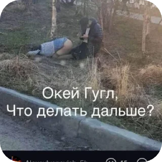 Video sticker 👍 Чекушка