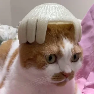 Telegram sticker 😦 mew