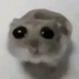 Telegram sticker 😢 mew