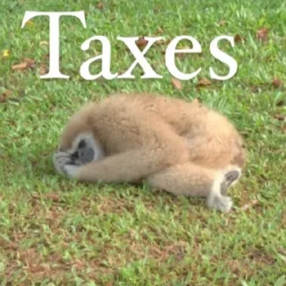 Telegram stiker 🫵 warhorse