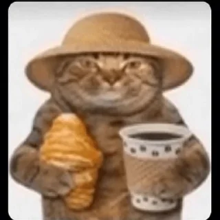 Video sticker 🐱 warhorse