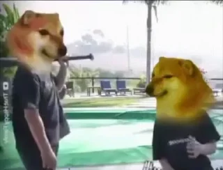 Video sticker 🔨 Stay_GIFs