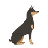 Video sticker 🐕 BlackX ➤ @emoji_...
