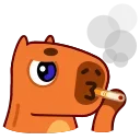 Video sticker 🚬 Capyboy