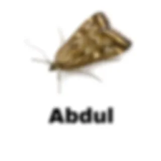 Telegram stiker 🦧 @lovescase