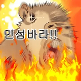 Telegram sticker ⭐ 조금 리얼한 카피바라 둥덕이 @moe_sticker_bot