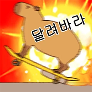Telegram sticker ⭐ 조금 리얼한 카피바라 둥덕이 @moe_sticker_bot