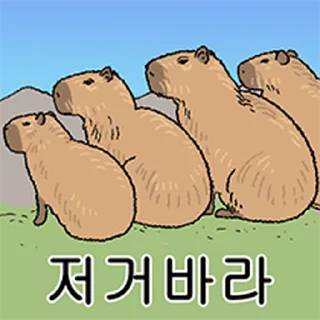 Telegram sticker ⭐ 조금 리얼한 카피바라 둥덕이 @moe_sticker_bot