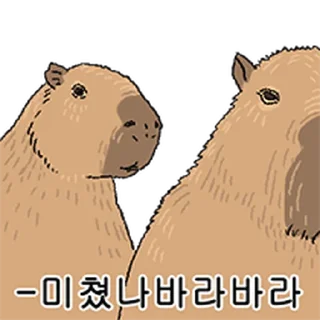 Telegram sticker ⭐ 조금 리얼한 카피바라 둥덕이 @moe_sticker_bot