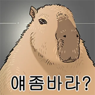 Telegram sticker ⭐ 조금 리얼한 카피바라 둥덕이 @moe_sticker_bot