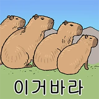 Telegram sticker ⭐ 조금 리얼한 카피바라 둥덕이 @moe_sticker_bot