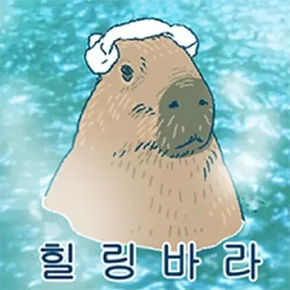 Video sticker ⭐ 조금 리얼한 카피바라 둥덕이 @moe_sticker_bot