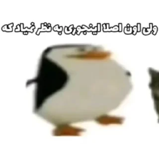 Video sticker 🌱 گوربا🐈