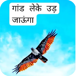 Sticker 🐦 AYUSH