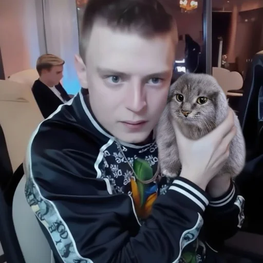 Telegram sticker 🤩 котi и куки @podedala