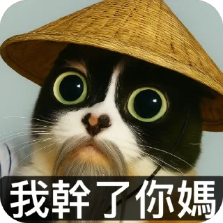 Telegram sticker 🤩 котi и куки @podedala