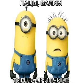 Video sticker 💀 Птічки як 2