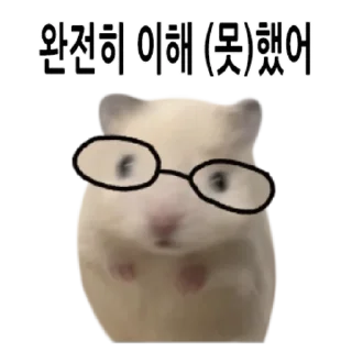 Telegram stiker 👍 @KakaoEmoji 삐딱선 타고 온 햄스터
