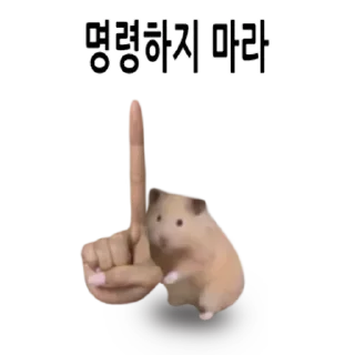 Video sticker 👍 @KakaoEmoji 삐딱선 타고 온 햄스터