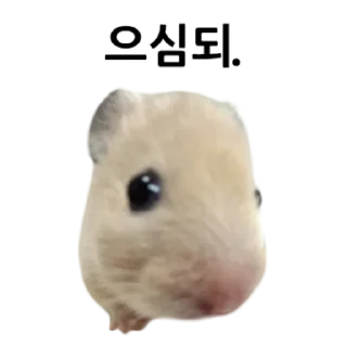 Sticker 👍 @KakaoEmoji 삐딱선 타고 온 햄스터