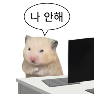 Telegram stiker 👍 @KakaoEmoji 삐딱선 타고 온 햄스터
