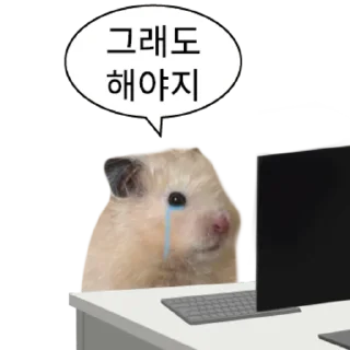 Telegram stiker 👍 @KakaoEmoji 삐딱선 타고 온 햄스터
