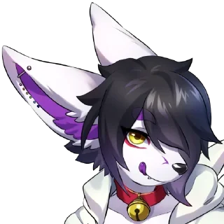 Video sticker 😋 Furry