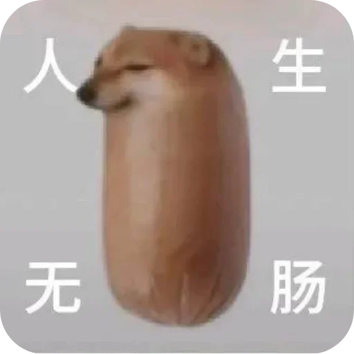 Telegram sticker 👍 白嫖彩金 @bcw520 交流群 @tgbcs8