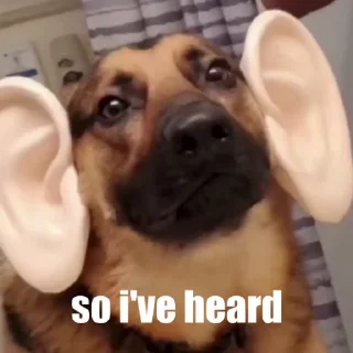 Video sticker 🥰 Set #086 @LeonMagnum