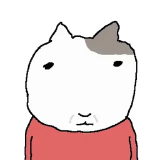 Video sticker ⭐ 찌그러진고앵쓰