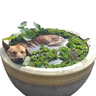 Telegram sticker 😊 mélange