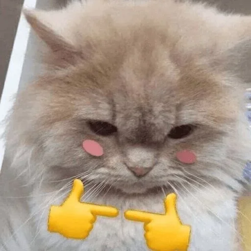 Telegram sticker 😝 ＡＡＤＩ's