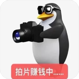 Video sticker 💅 操逼企鵝 by Aya: @fStikBot