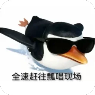 Video sticker 🏃 操逼企鵝 by Aya: @fStikBot