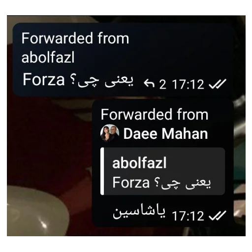 Telegram sticker 🐺 Random bullshit GO