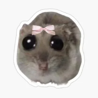 Video sticker 😍 @stickeri_tg 💋<-- стикеры тут